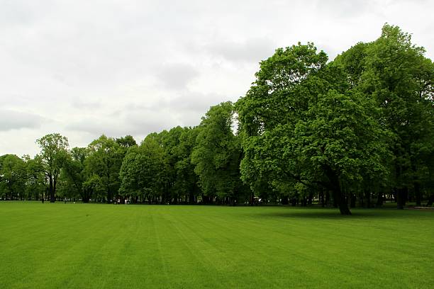 Spacious green lawn in a park with trees in the background.