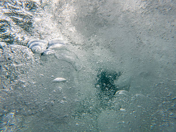 Close-up of air bubbles rising underwater creating dynamic movement. Abstract underwater scene with bubbles in clear water. Water and air interaction in natural environment.