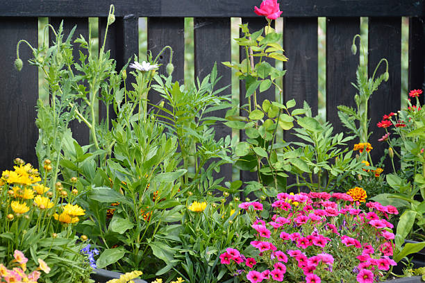 istock Colorful flowers growing on the balcony 2235808116