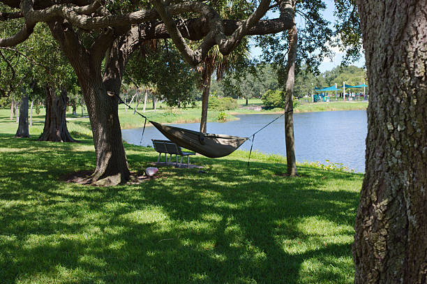 istock Peaceful Lakeside Scene with Hammock Under Tree Shade in Green Park 2235810558