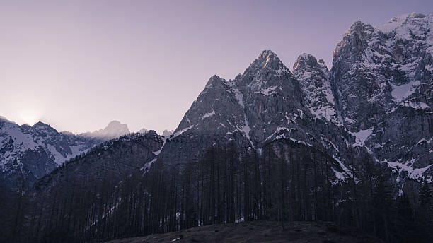 Forest and snowcapped mountains at sunset, Julian Alps
