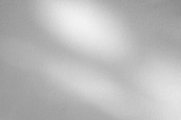 istock Abstract natural tree branch leaves shadow on white wall background 2235826787