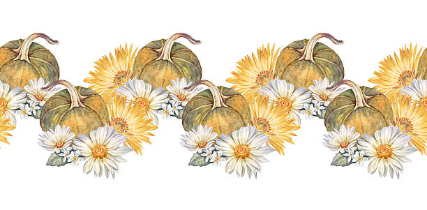 Watercolor autumn seamless border with pumpkin and chamomile on white background. Hand-drawn bloom flower chrysanthemum or daisy for card. Rim with vegetable for invite. Wallpaper or wrapping.