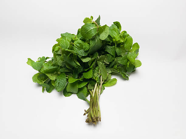istock Fresh mint leaves with stems laid on a clean white background. Ideal for culinary, herbal, or natural-themed design and product presentations. 2235834135