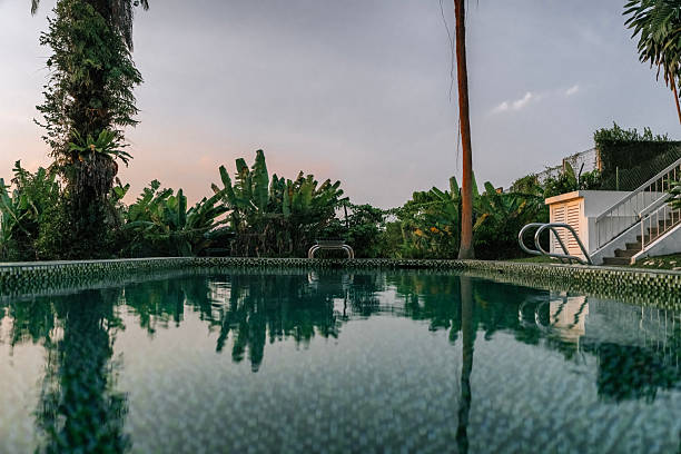 serene swimming pool reflecting tropical plants and palm trees, with stairs leading to a modern bungalow in the background.
