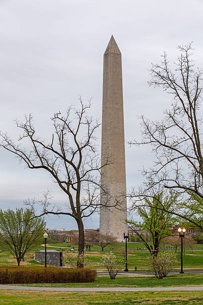 istock The Washington monument through the trees 2235838034
