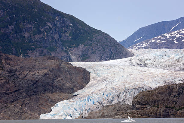 Mendenhall Glacier, Juneau, Alaska Summer 2023 in Juneau, Alaska, United States