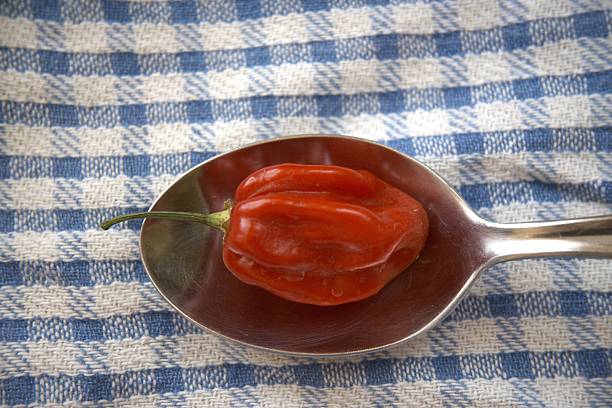 Peppers and onion are washed and ready for cutting to prepare typical african food.