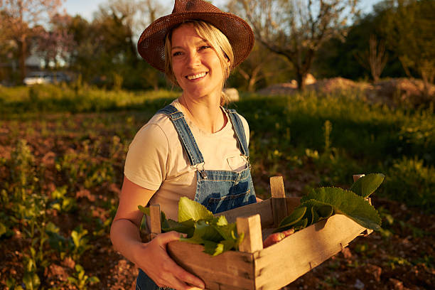 istock Happy female farmer holding a wood box containing fresh vegetables 2235851232