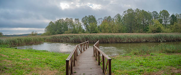 istock Morning by the river and forest. Autumn landscape 2235851746