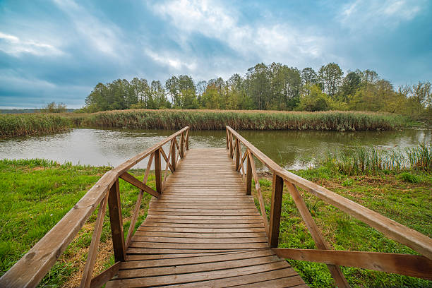 istock Morning by the river and forest. Autumn landscape 2235851749