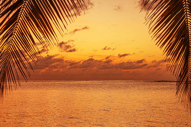 Tropical paradise beach with dramatic sky and clouds during the sunset