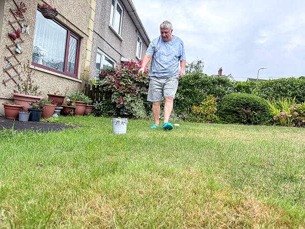 istock Senior man removing weeds from lawn 2235855270