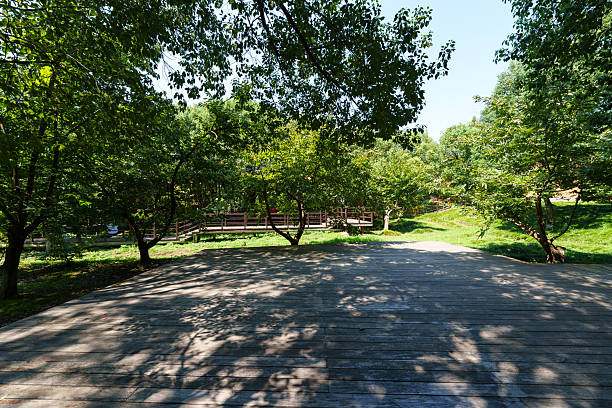 road in park