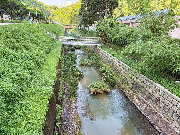 istock Serene Urban Canal Winding Through Lush Green Park 2235856894