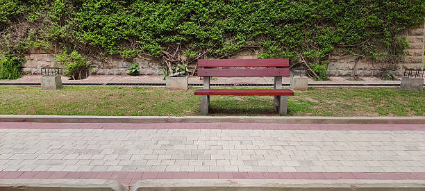 Empty Bench in Park Front View Shows Resting Spot in Natural Setting