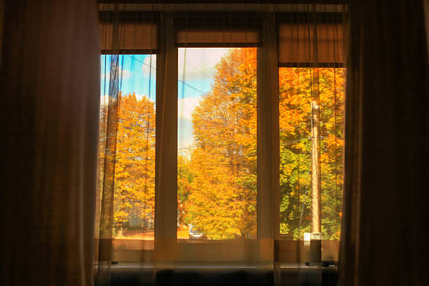 View of autumn colors outside the window