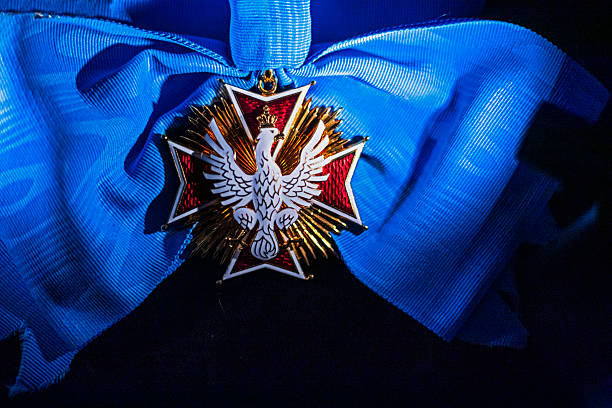old isolated over white coat of arms of poland