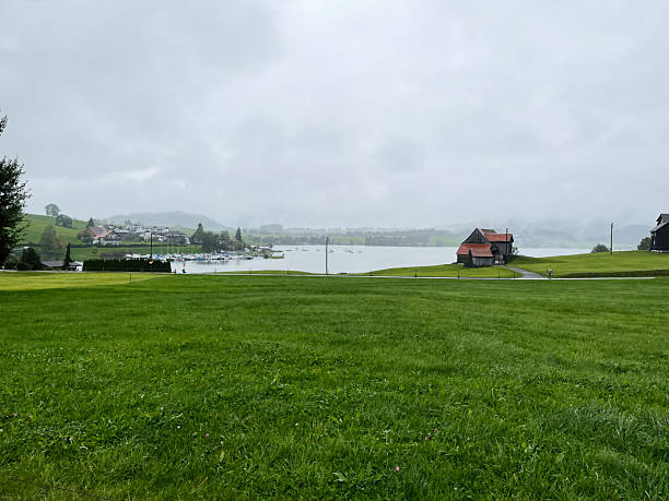 istock Serene lakeside view in Switzerland with green fields and cloudy skies 2235871518
