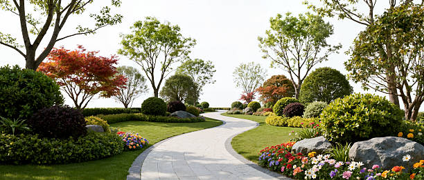 istock Lush Garden Path with Flowers on White Background 2235874464