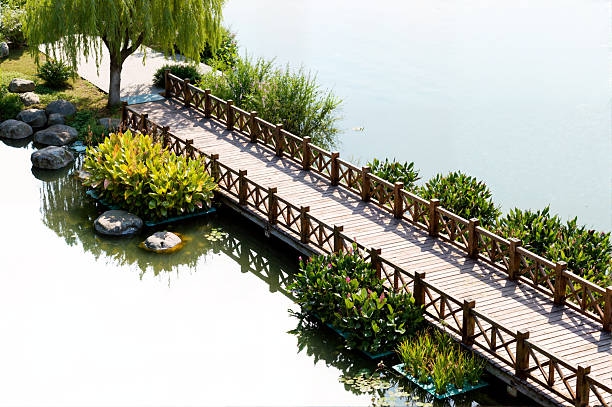 A tranquil, isolated image of a serene pond with a wooden walkway and lush greenery, perfect for architectural, landscape, and design projects on a white background.