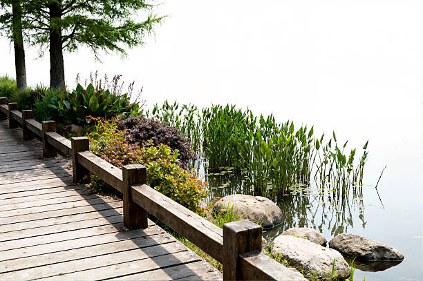 Row of wooden walkways in the garden with a pond in the background