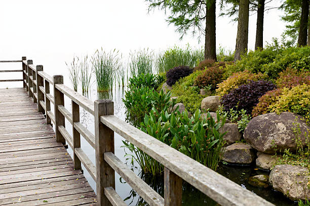 A tranquil, isolated image of a serene pond with a wooden walkway and lush greenery, perfect for architectural, landscape, and design projects on a white background.