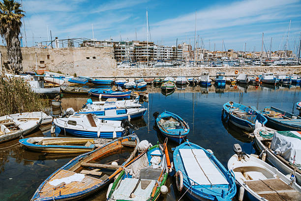 Charming boats rest in a scenic harbor in Syracuse, Sicily, featuring calm waters and historic background.
