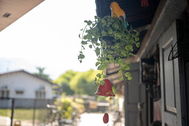Bell, red outstanding, on the terrace