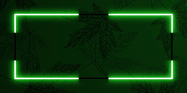 istock Vibrant neon green frame centered against dark textured background adorned with subtle leaf pattern. 2235884036