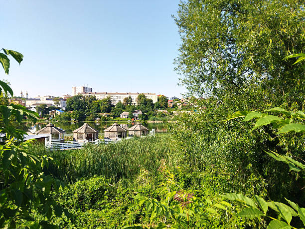Lush greenery frames lakeside huts under clear sky.