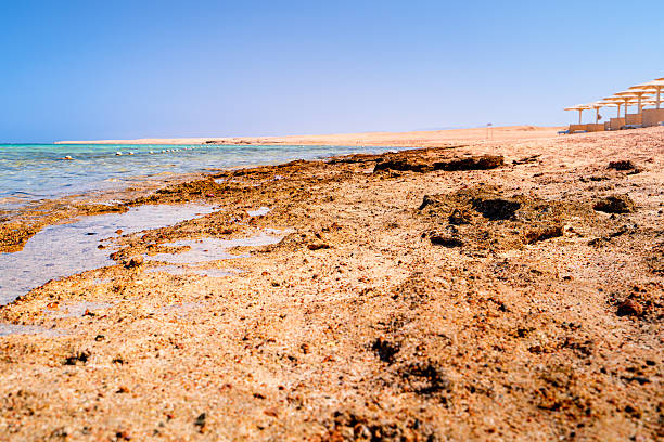 Beach with umbrellas in Egypt, Marsa Alam, Red Sea coast with turquoise waters. Tropical vacation.