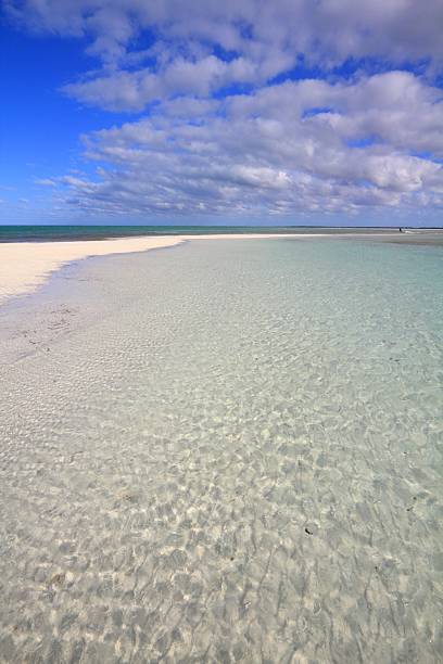 istock Sunny beach in Cayo Guillermo, Cuba 2235885783