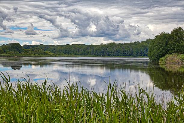 istock Burgsee lake in Schleswig town, Germany 2235890032