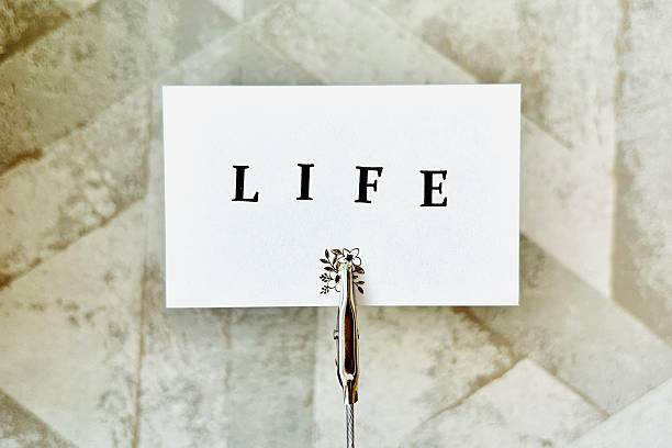 istock Life and Lifestyle Concept 2235893828