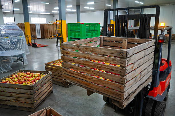 istock Apples are arranged in containers in a large garden. Harvesting. 2235895665