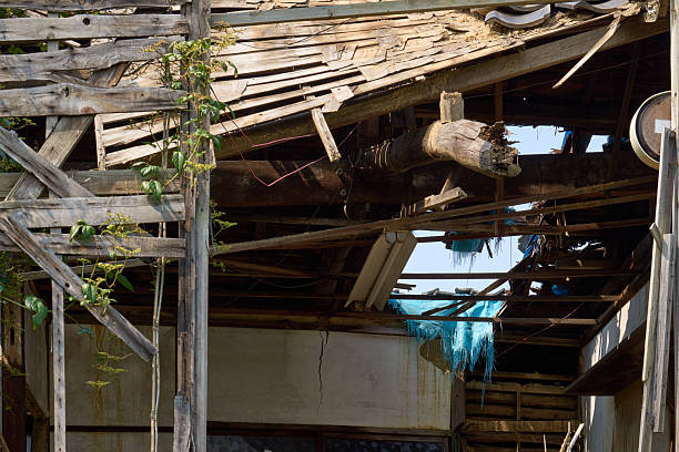 The building's exterior symbolizing Japan's vacant house problem.