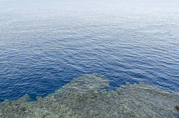 Tranquil resort features expansive ocean view with calm, rippling water. Blue hues dominate, creating relaxing atmosphere. Coastal rocks foreground enhance natural beauty