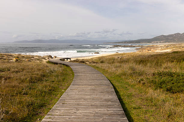 istock A wooden boardwalk leads to the ocean 2235909947