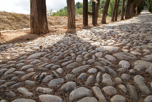 Detailed view of a rustic cobblestone pathway with tree shadows, showing natural textures, perspective, and timeless outdoor atmosphere