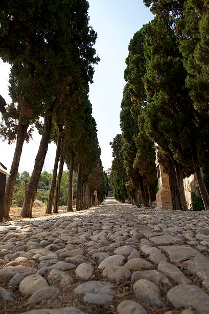 istock Low-angle cobblestone alley with cypress trees 2235910419