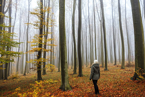 istock Forest therapy during walk at misty morning 2235911418