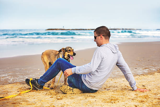 istock Young man with his dog sitting on the beach 2235913169