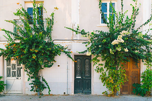 Lush green and flowering vines grow around vibrant doors and windows of a traditional house in Tavira, Portugal.