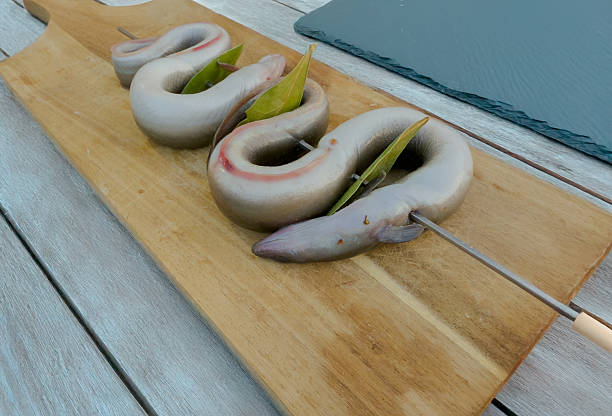 Eels for sale