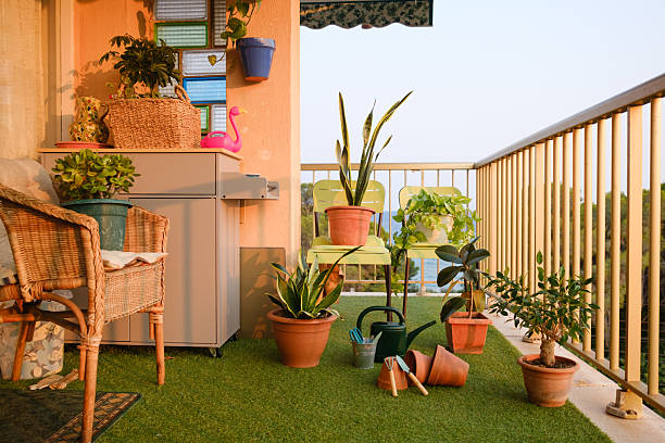 istock Cultivating a thriving urban garden on a balcony at sunset 2235923601