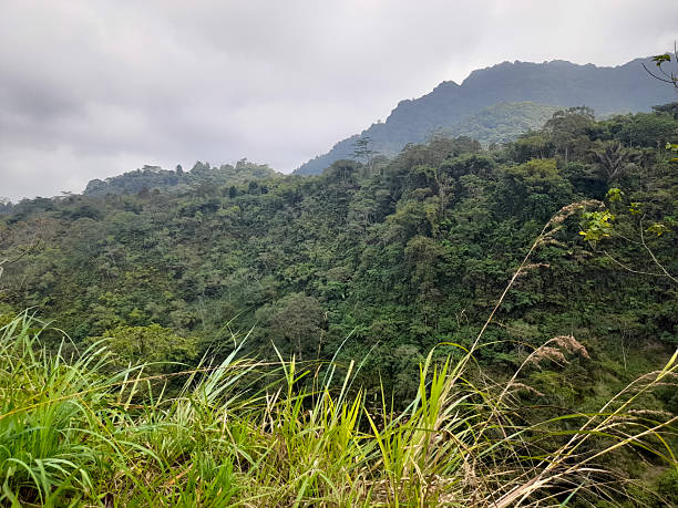 istock green hills with cloudy skies 2235926623