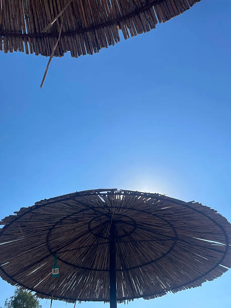 istock Straw Umbrellas Under the Sun, Tropical Resort Atmosphere 2235928173