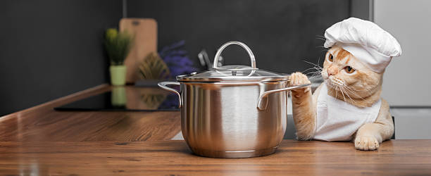 istock Burmese cat dressed as a chef with a saucepan in the kitchen. 2235929698