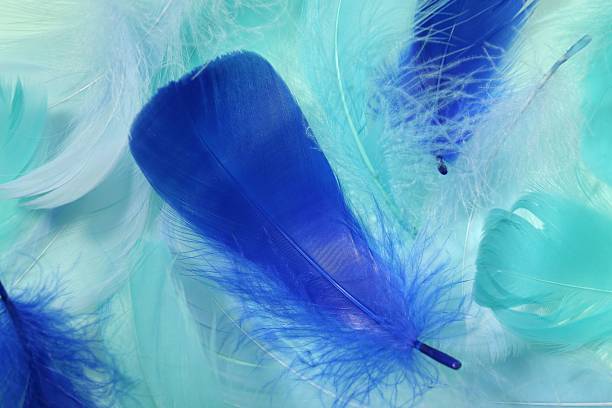 istock Beautiful fluffy feathers as background, closeup view 2235930550